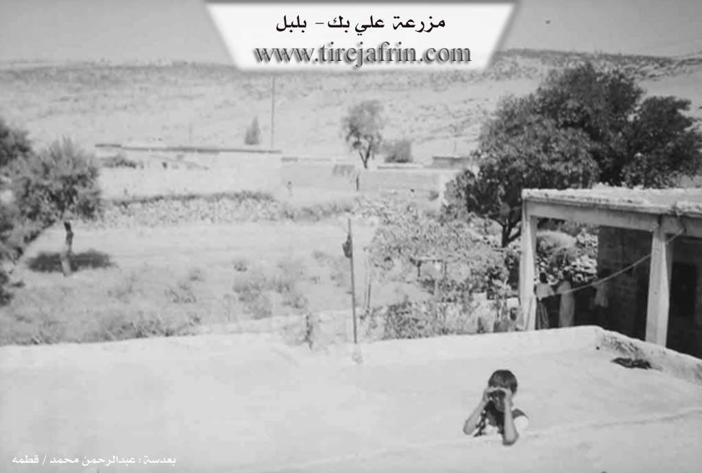 Photo of Elî Bego